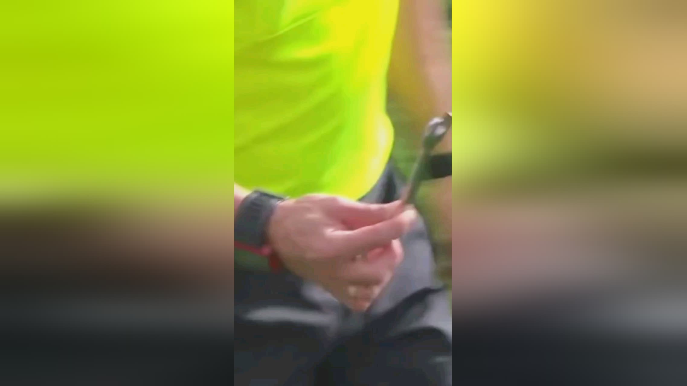 此来